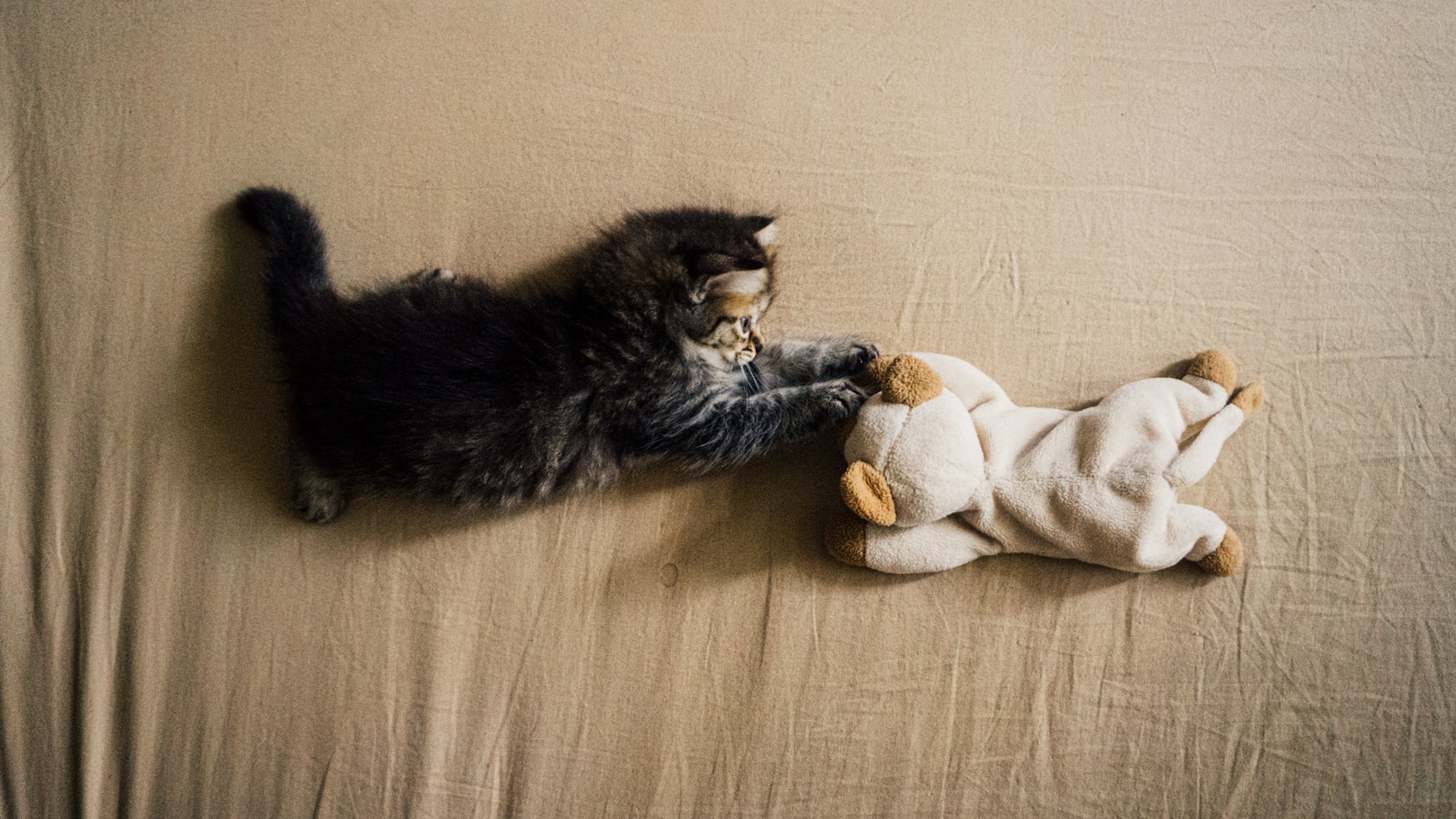 1760617468-10617-9934-lxb_photoK1tBR07nXBIlxb_photo-