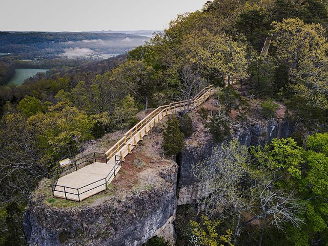 eoa_buzzardroost_david-ike